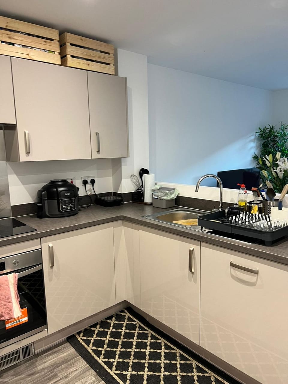Kitchen or kitchenette, dishwasher, oven, stove