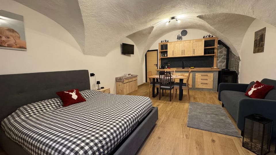 Bed, Kitchen or kitchenette, Living room, Photo of the whole room, Seating area, Dining area, Bedroom, stove