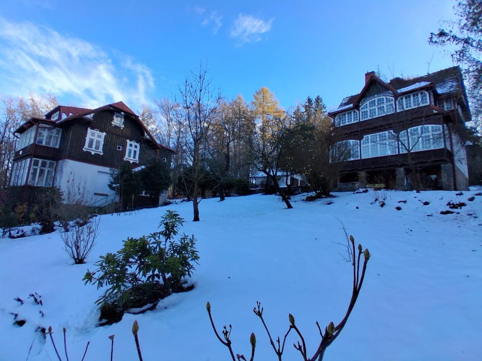 Property building, Winter