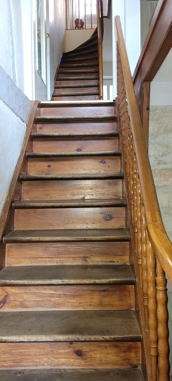 group of guests, group of guests