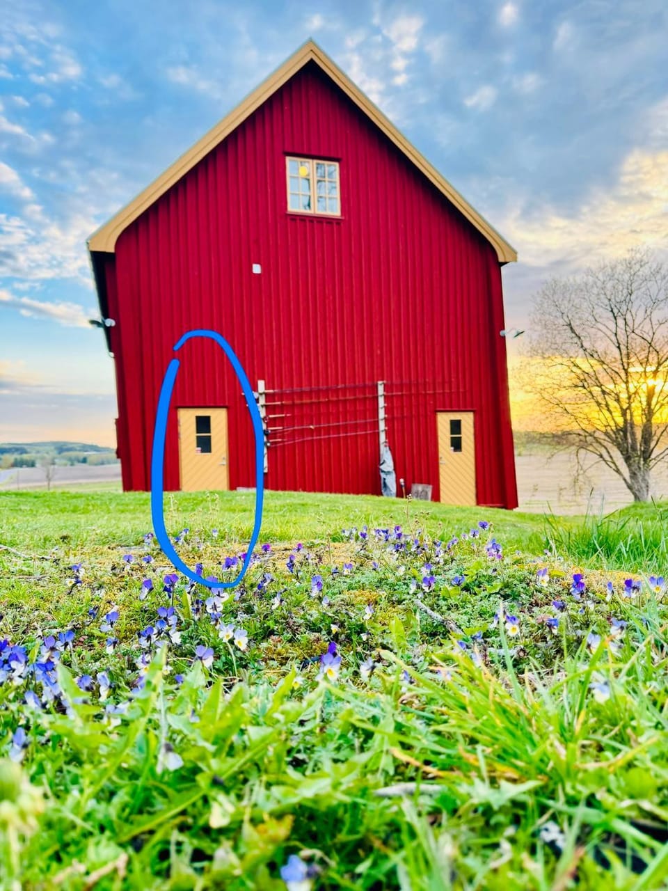 Brålands Farm - fish & family friendly in nature reserve - Apartment nr 2 Laxen Apartment in Västra Götaland County