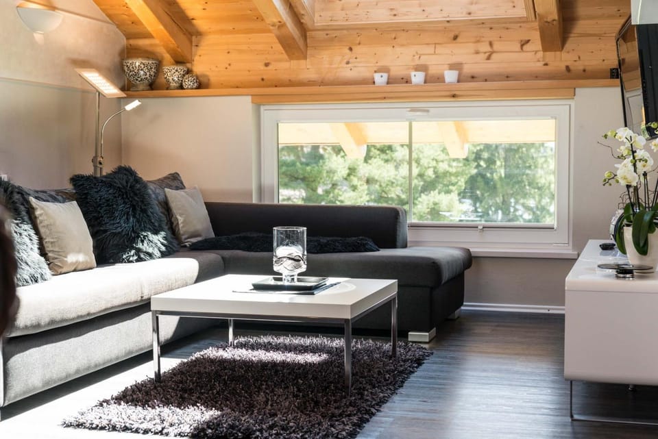 Living room, Photo of the whole room, Decorative detail, Lake view