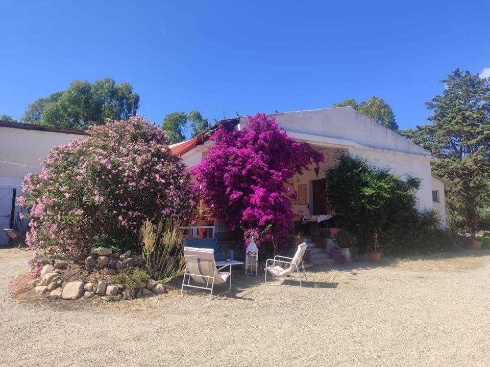 In Our Garden Sardinia - Grano Glamping Tent Luxury tent in Quartu Sant'Elena