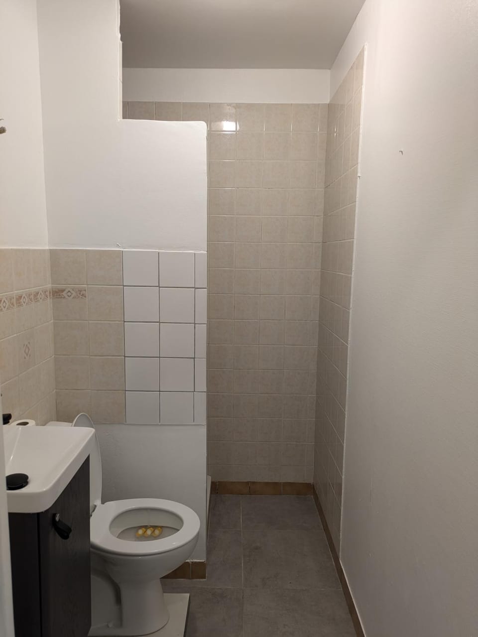 SamShen Vacation rental in Créteil