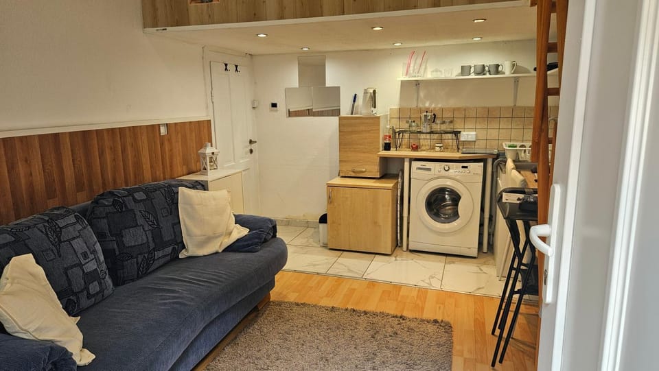 Kitchen or kitchenette, Living room, Seating area, Dining area, stove, toaster, washing machine
