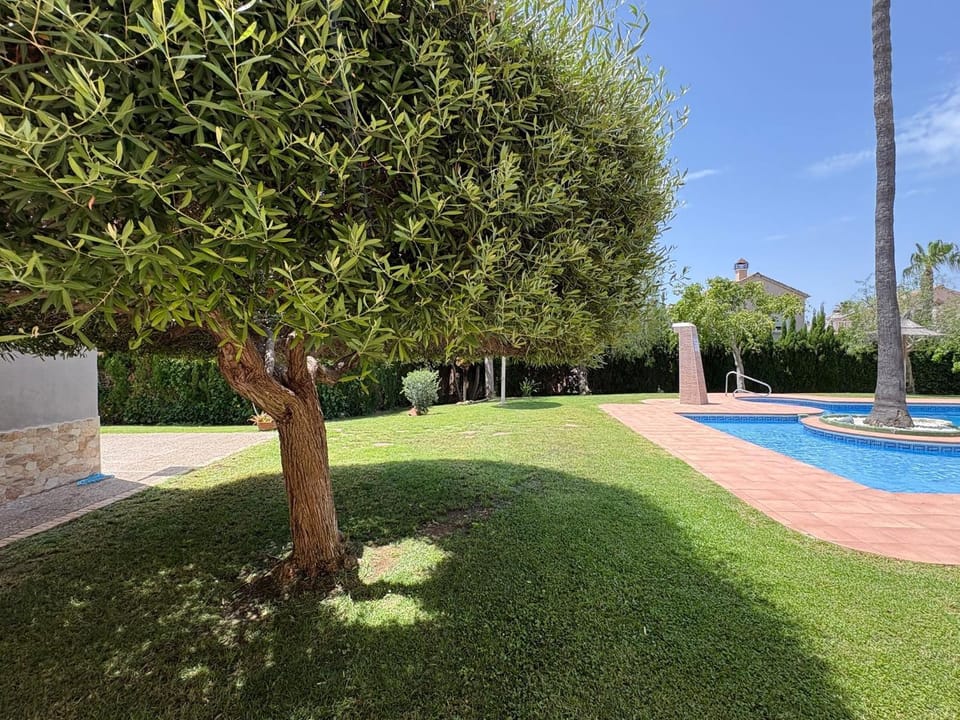 Natural landscape, Pool view, Swimming pool