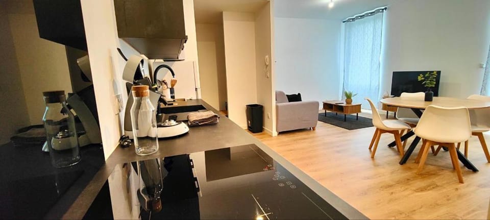 Natural Home 4 pers WiFi Parking Apartment in Clermont-Ferrand