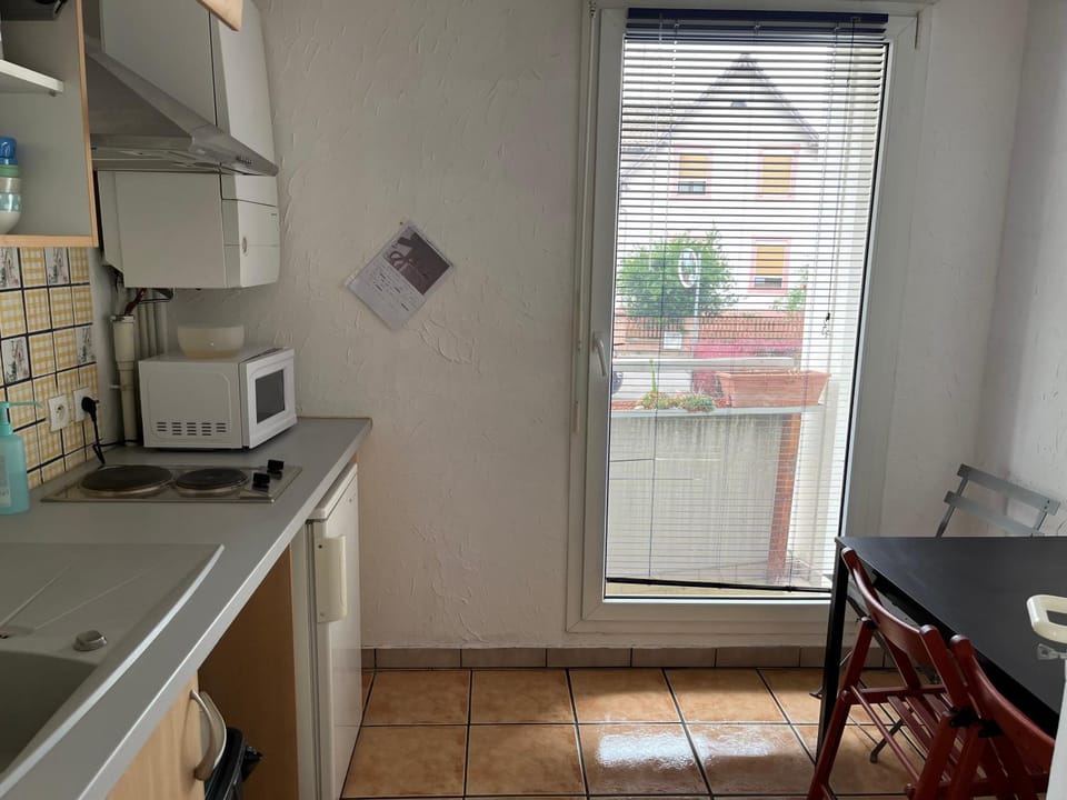 Sandy Garden Apartment in Strasbourg
