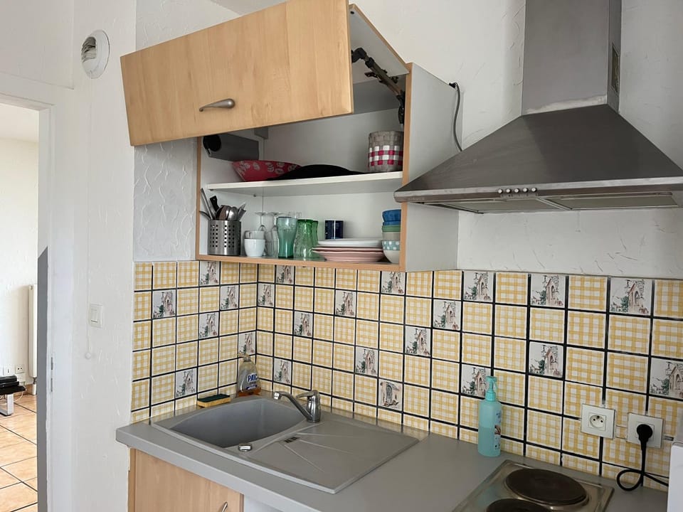 Sandy Garden Apartment in Strasbourg