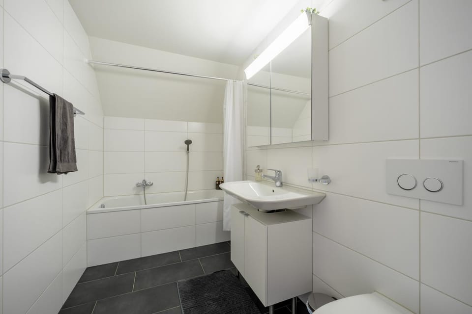 Toilet, Bathroom, Bath, hair dryier, towels