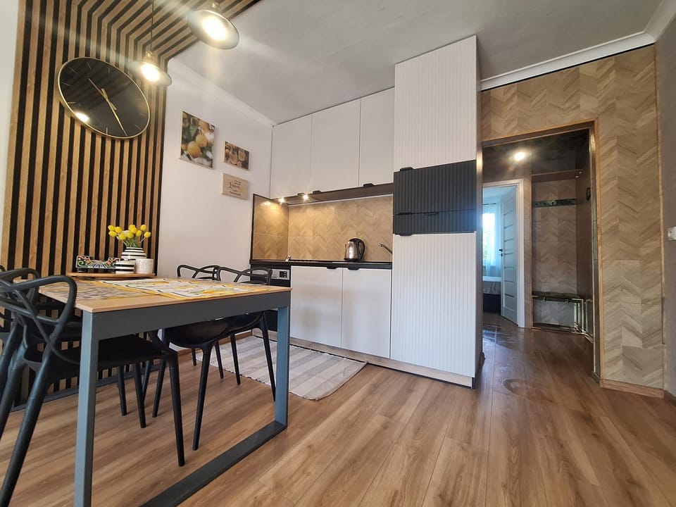 Kitchen or kitchenette, Dining area, oven, stove
