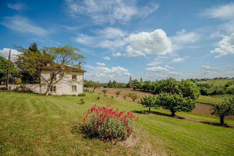 Property building, Spring, Natural landscape, Garden view