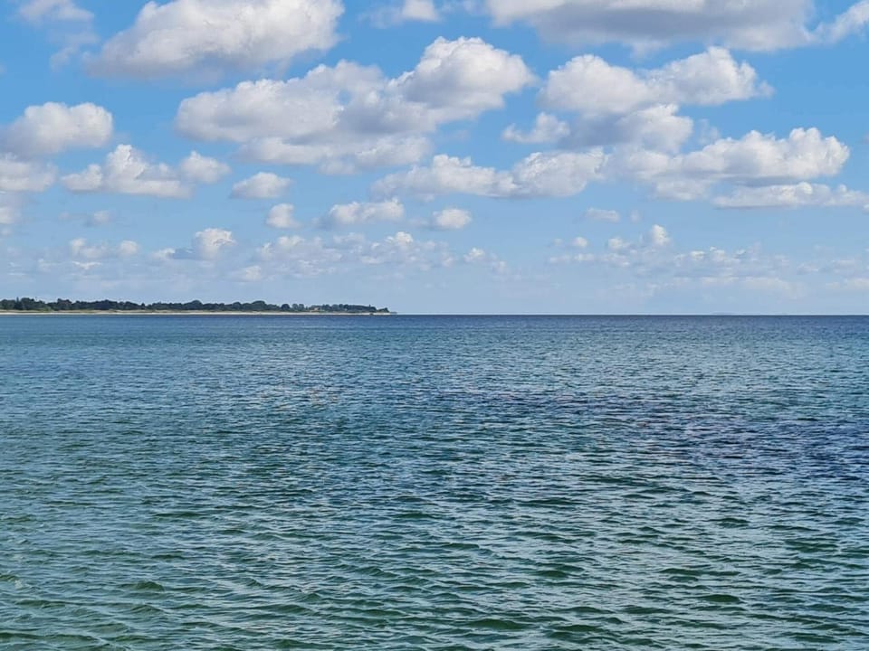 Lake view