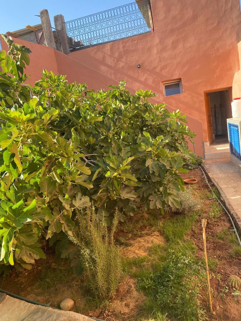 Riad El Raaha House in Marrakesh-Safi