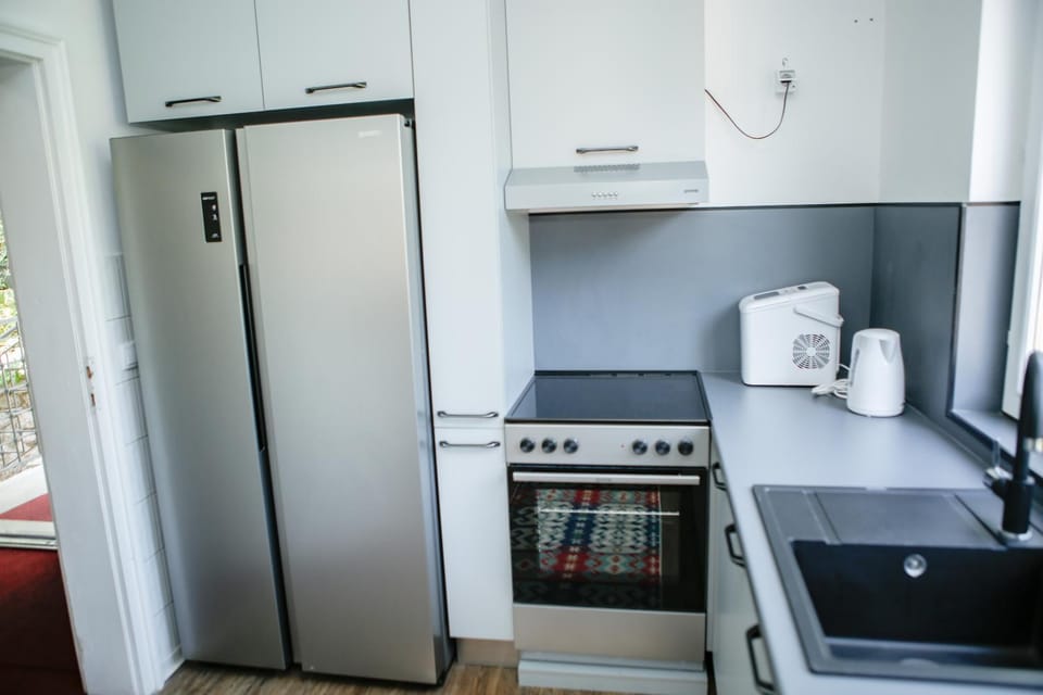 Coffee/tea facilities, Kitchen or kitchenette, minibar, oven, pet friendly, stove