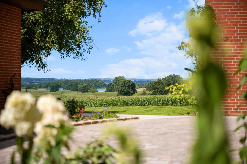 Day, Garden, Garden view