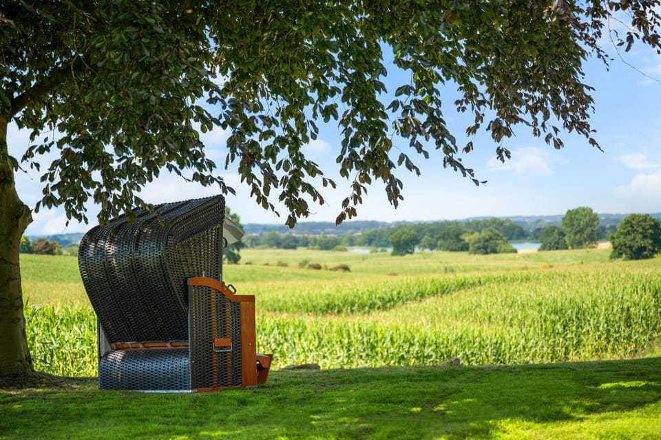 Day, Natural landscape, Garden, Evening entertainment, Garden view