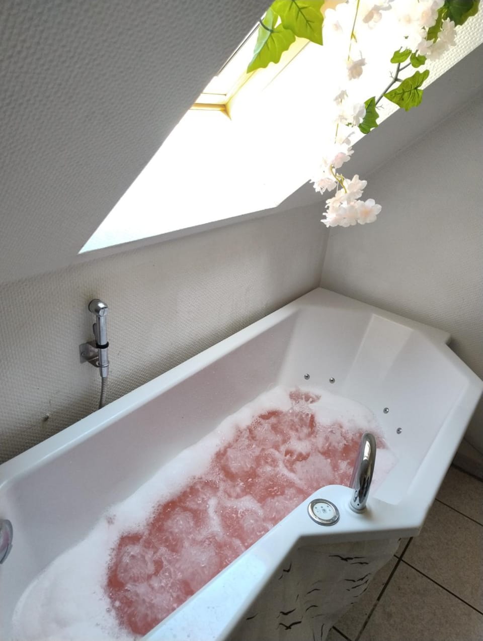 Hot Tub, Spa and wellness centre/facilities