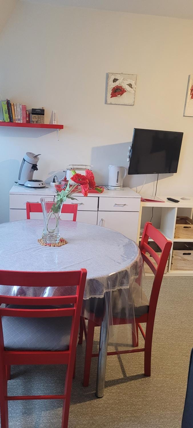 Idéal curistes et au cœur de La Roche-Posay Apartment in Nouvelle-Aquitaine