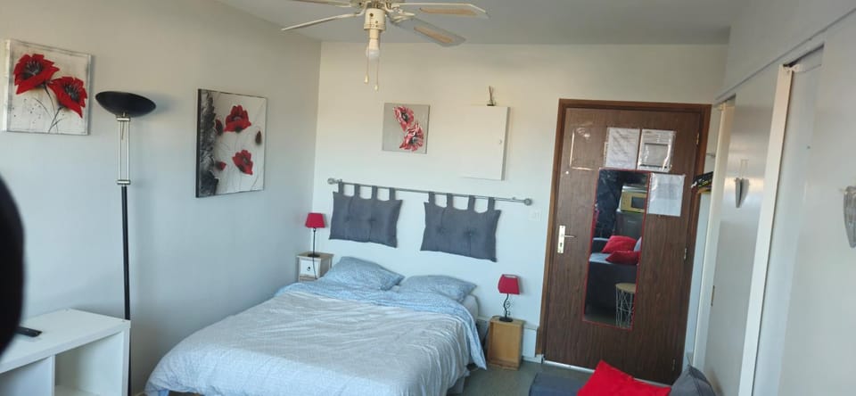 Idéal curistes et au cœur de La Roche-Posay Apartment in Nouvelle-Aquitaine