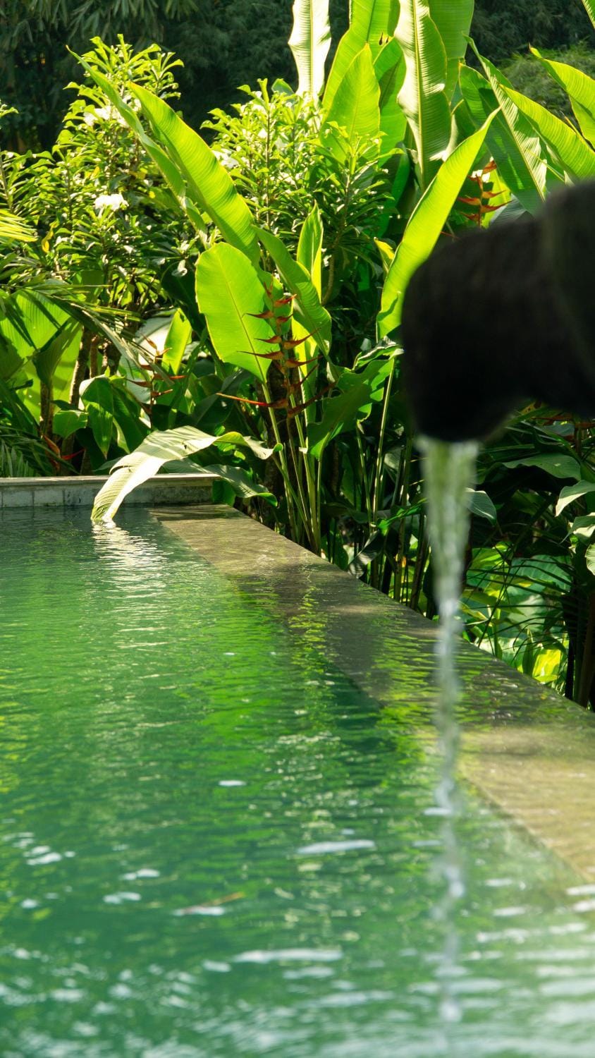 Lotus Forest Houses Villa in Special Region of Yogyakarta