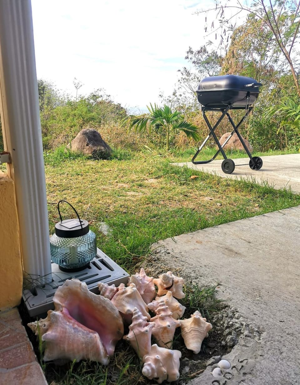 BBQ facilities, Garden, Garden view