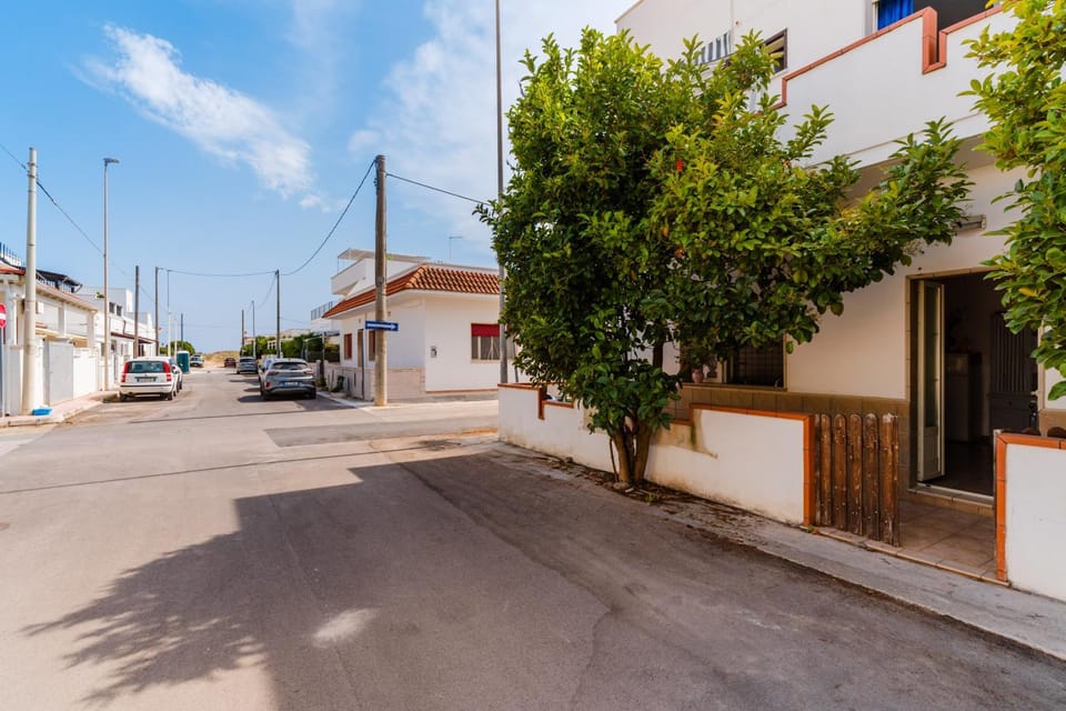 Property building, Street view