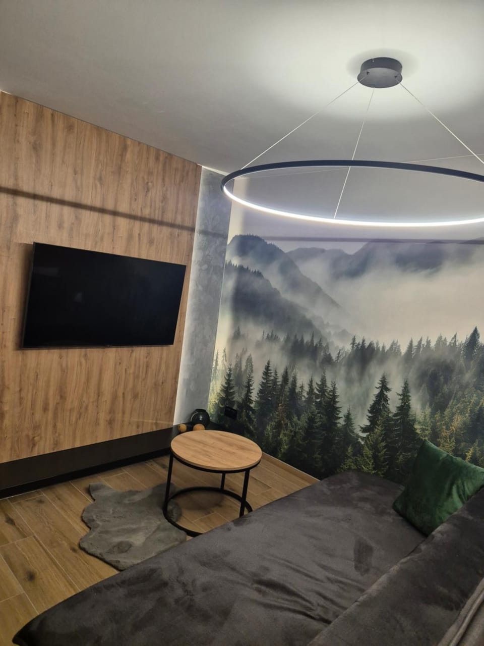 Communal lounge/ TV room