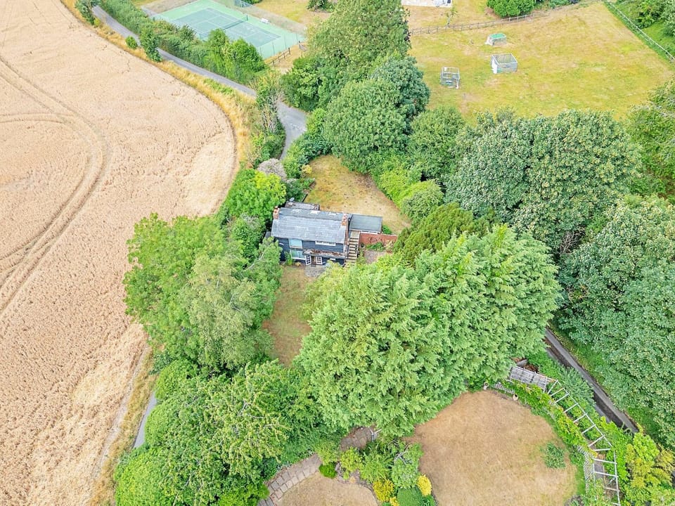 Spring, Day, Natural landscape, Bird's eye view, Garden, Garden view