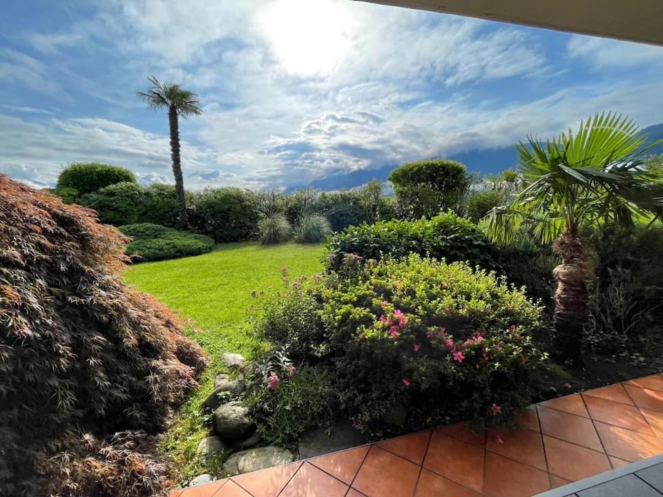 Garden view