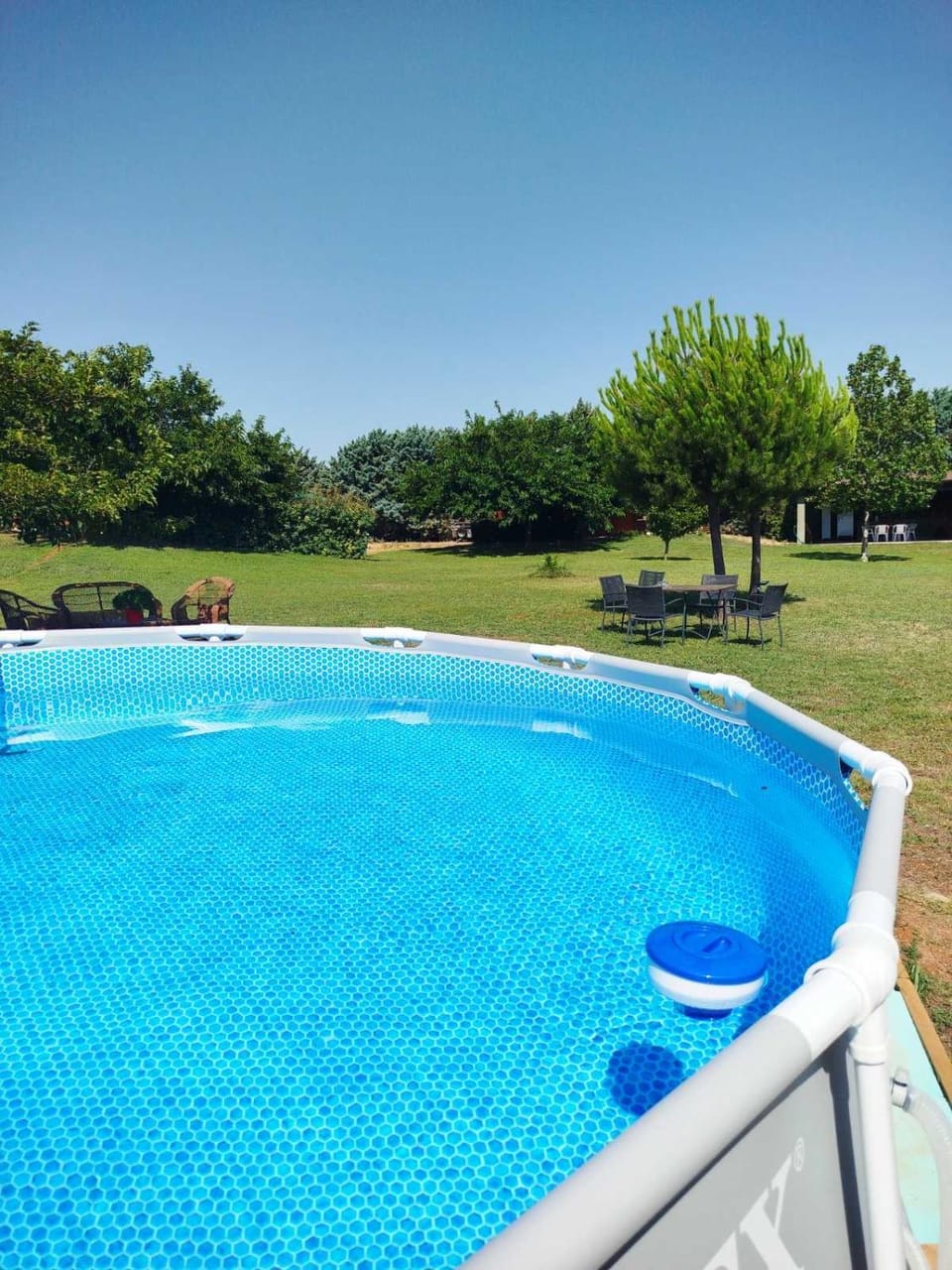 Garden, Garden view, Pool view