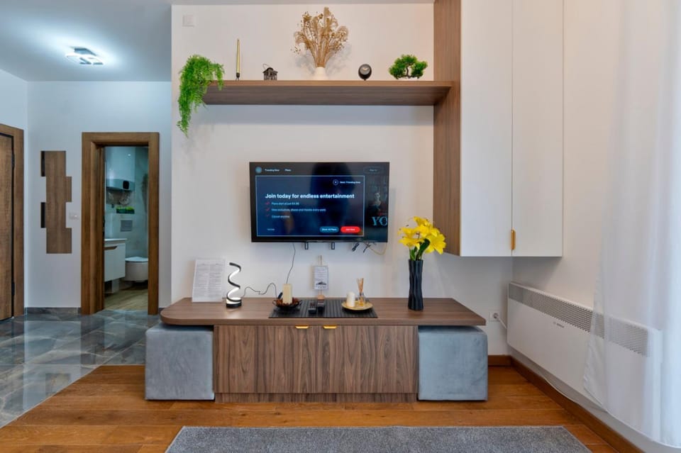 TV and multimedia