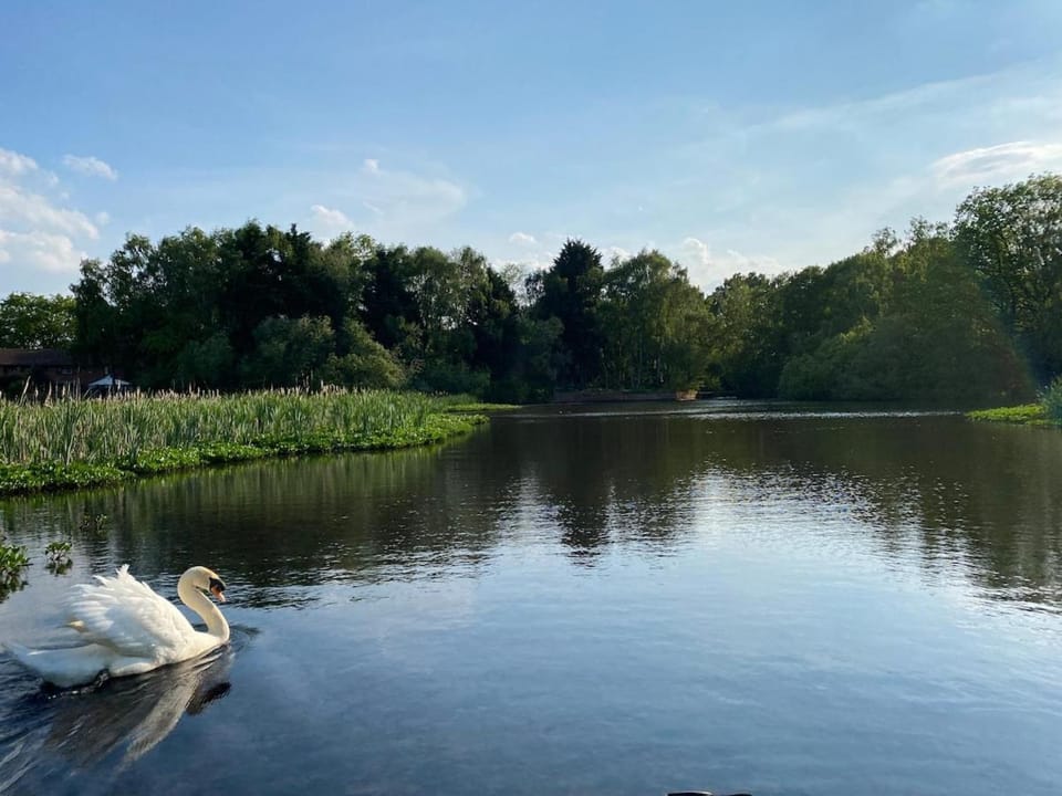 Lake View Lincoln Apartment in Lincoln
