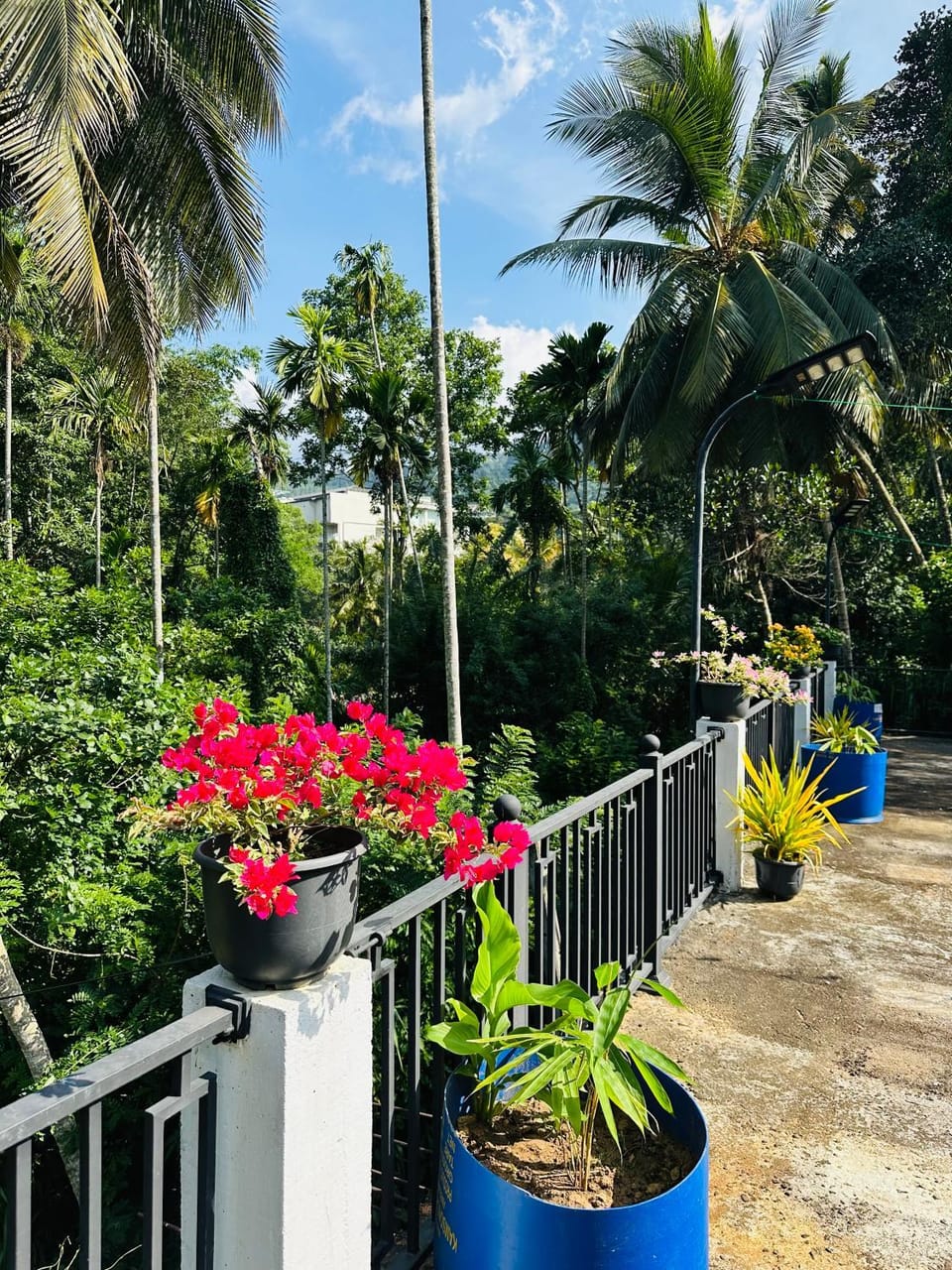 Ceylon Chill Bunks Hostel in Kandy