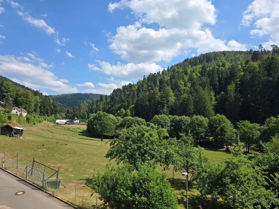 Neighbourhood, Natural landscape