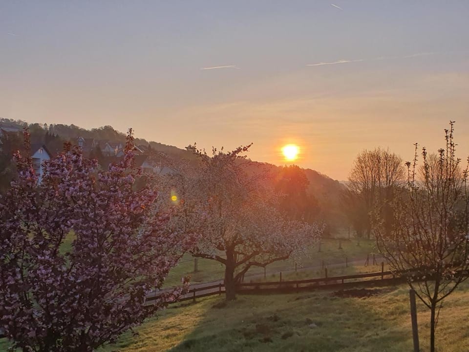 Spring, Natural landscape, Sunrise