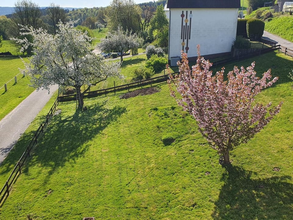 Garden, Garden view