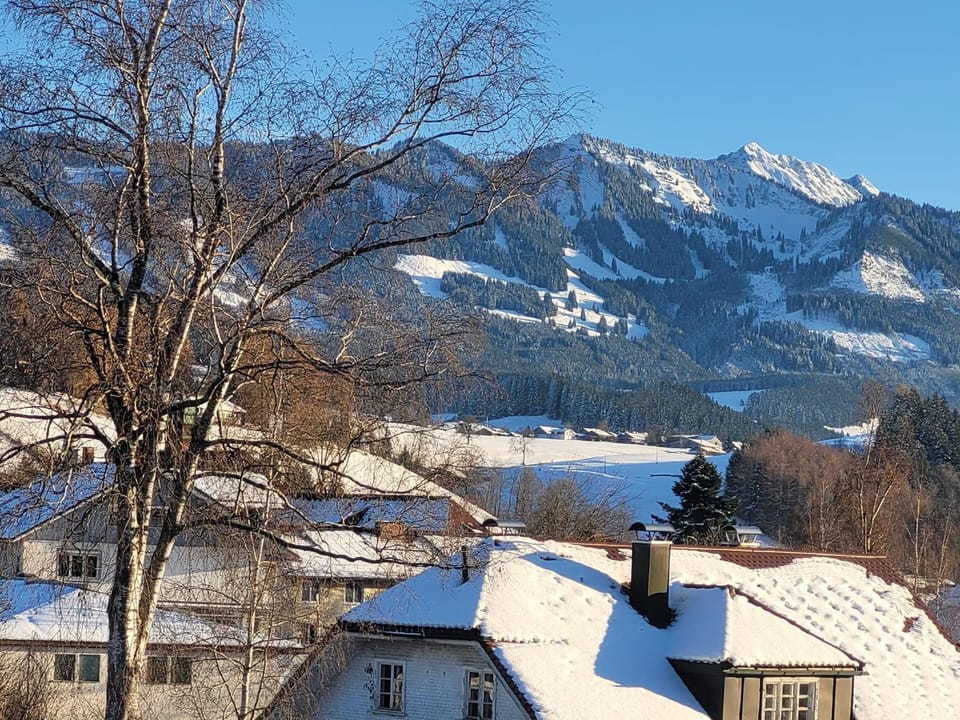 Winter, Mountain view