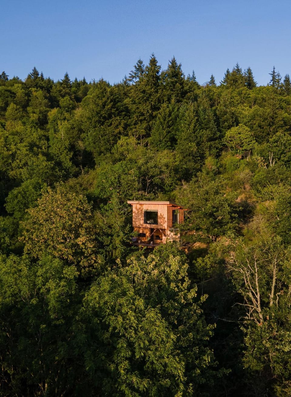La Muzetiere Cabane du crêt Bed and Breakfast in Auvergne-Rhône-Alpes