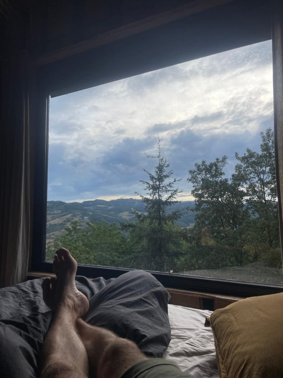 View (from property/room)