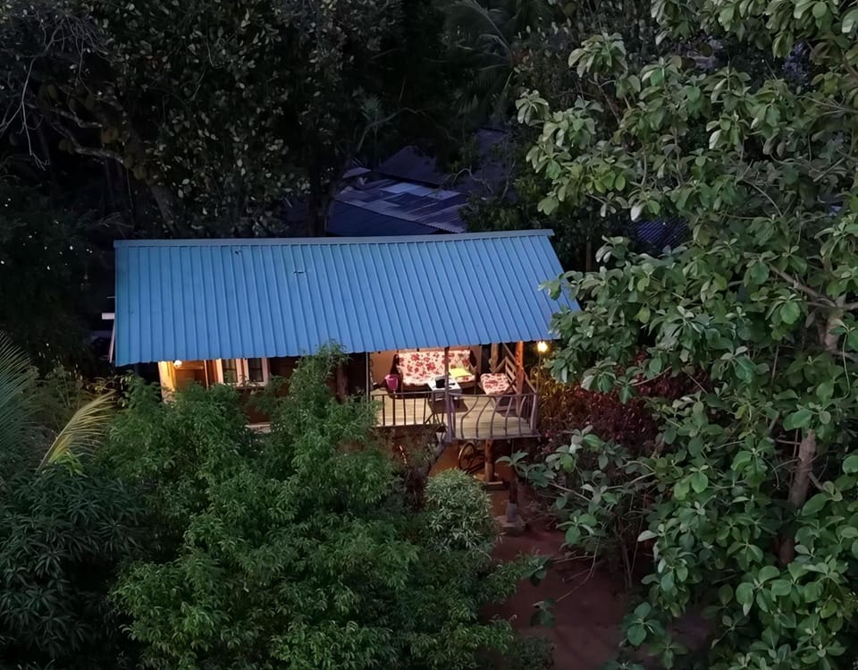 The Travel Tree Hostel Hostel in Dambulla