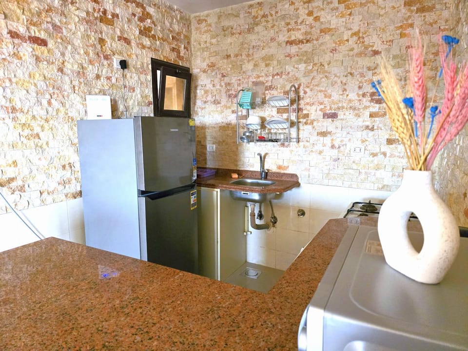 Kitchen or kitchenette, minibar, oven, stove