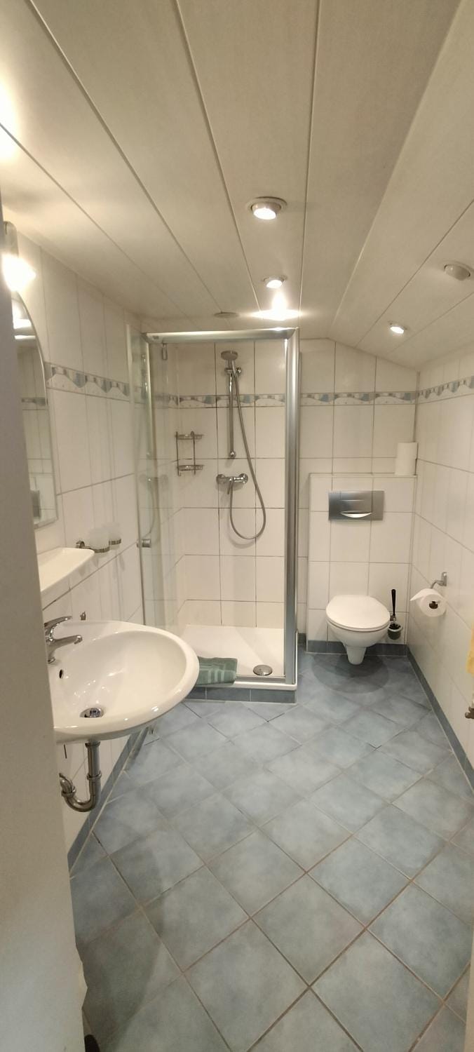 Shower, Toilet, Bathroom