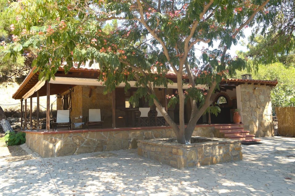 Property building, Garden view