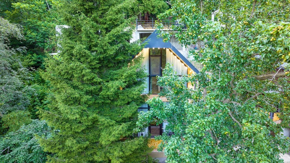 Iliaseuli's Cottage House in Batumi