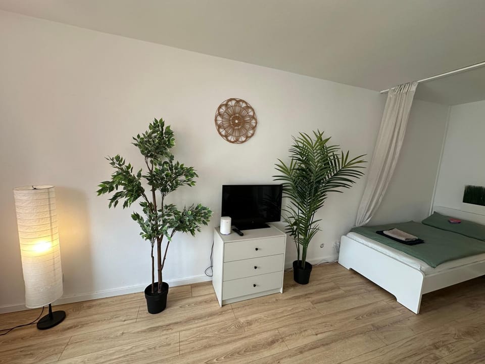 Bed, TV and multimedia