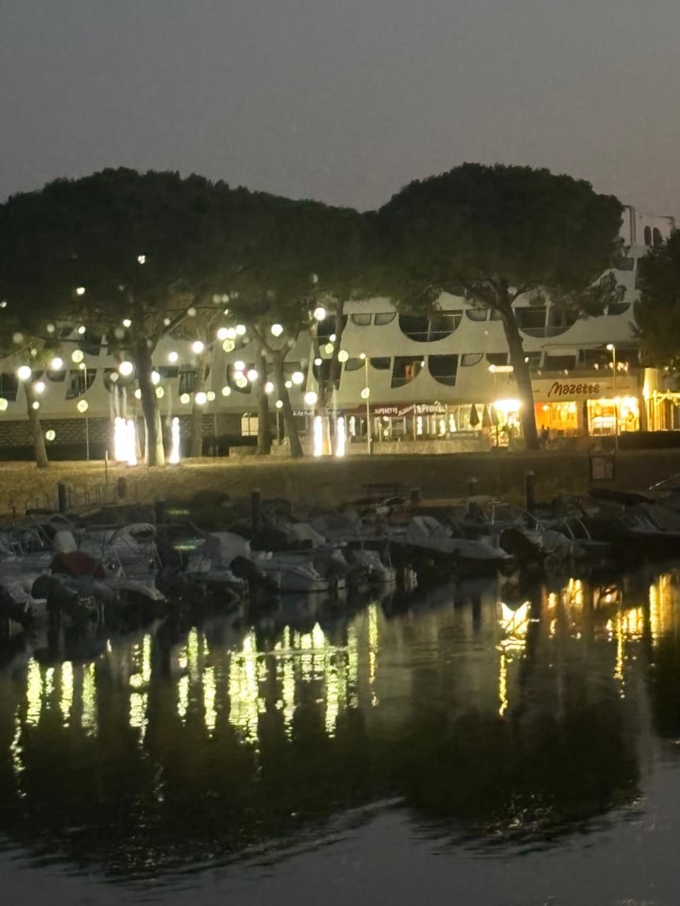 La Grande motte le Ponant Apartment in La Grande-Motte