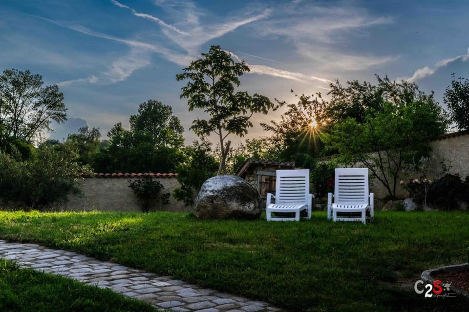 Garden, Garden view, sunbed