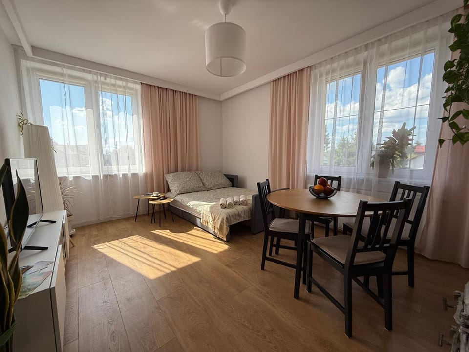 Bed, TV and multimedia, View (from property/room), Living room, Photo of the whole room, Seating area, Non alcoholic drinks, Family, Quiet street view, internet