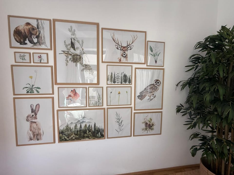 Nature-Inspired Stay in Piata Sfatului Brasov Apartment in Brasov